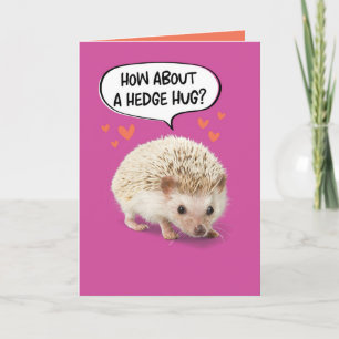Funny Cute Hedgehog Taking Prick Out of Birthday Card