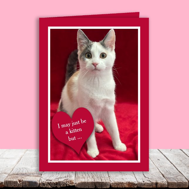 Funny Cute Kitten Cat Valentines Puns Card (Creator Uploaded)