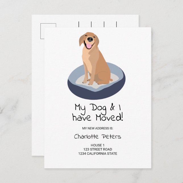 Funny cute labrador dog illustration moving announcement postcard (Front/Back)