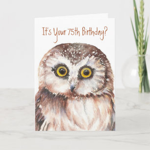 Funny-Cute Little Owl, 75th Birthday Card
