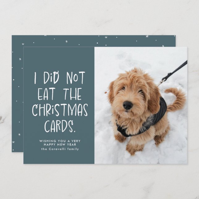 Funny cute pet light blue photo New Year Holiday Card (Front/Back)