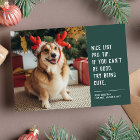 Funny cute pet photo Christmas Holiday Card