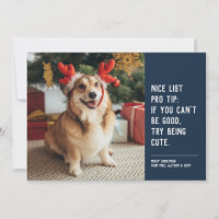 Funny cute pet photo navy blue Christmas