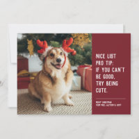 Funny cute pet photo red Christmas