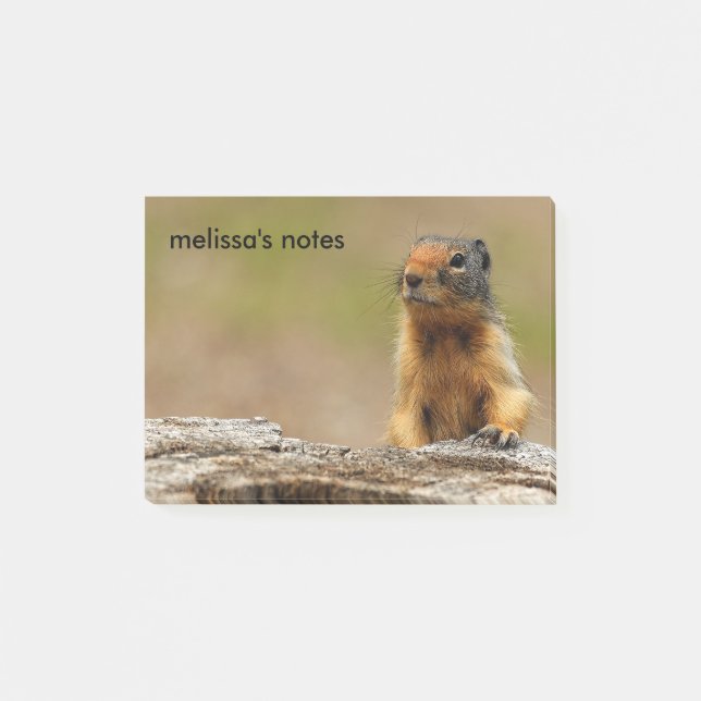 Funny Cute Saucy Columbian Ground Squirrel Post-it Notes (Front)