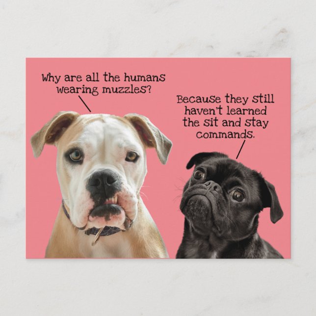 Funny Cute Sit/Stay Dogs During Pandemic No Muzzle Postcard (Front)