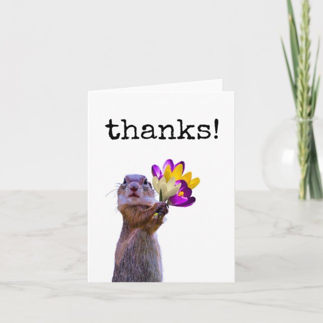 Funny, Cute, Squirrel, Thank You Card (Front)