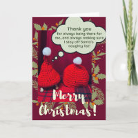 Funny Cute Tortoise Best Friends in Santa hats