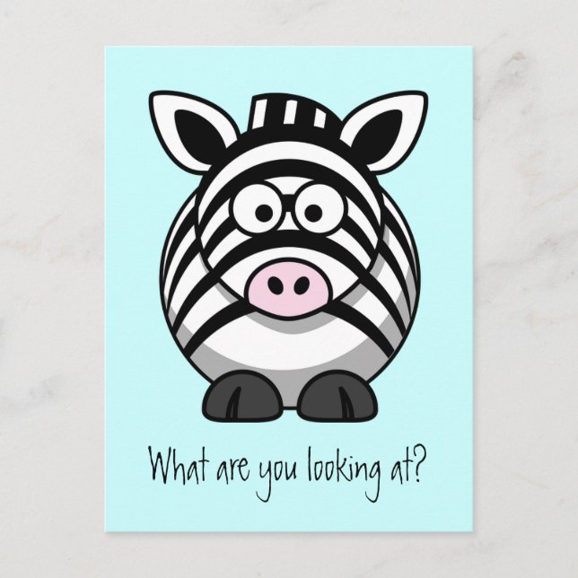Funny Cute Zebra Postcard (Front)