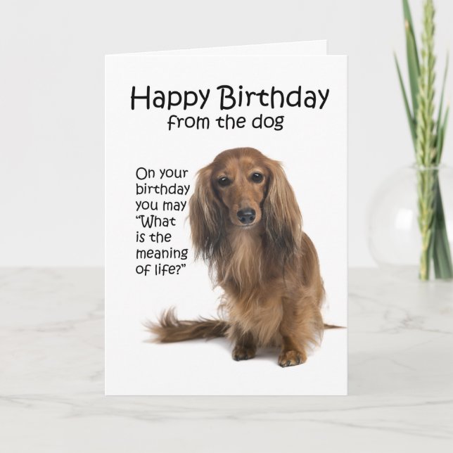 Funny Dachshund Birthday Card (Front)