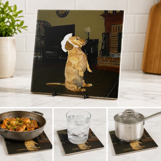 Funny Dachshund Dog Lover Sitting Pretty Kitchen Ceramic Tile (Funny Dachshund Dog Lover Sitting Pretty Kitchen Ceramic Tile)