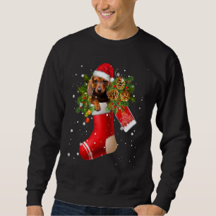 Funny Dachshund In Sock Christmas Santa Hat Xmas D Sweatshirt