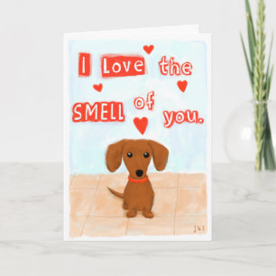 Funny Dachshund Love Valentine's Day Hearts Dog Holiday Card