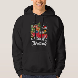 Funny Dachshund Ride Red Truck Merry Christmas Paj Hoodie