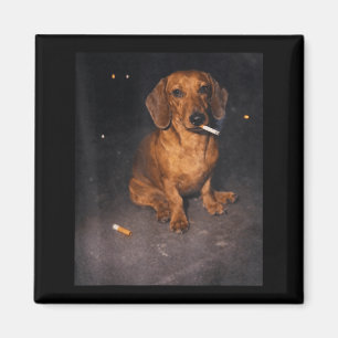 Funny dachshund smoking meme cigarette dog meme magnet