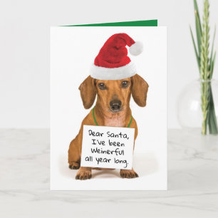 Funny Dachshund Wishing You a Wienerful Christmas Holiday Card