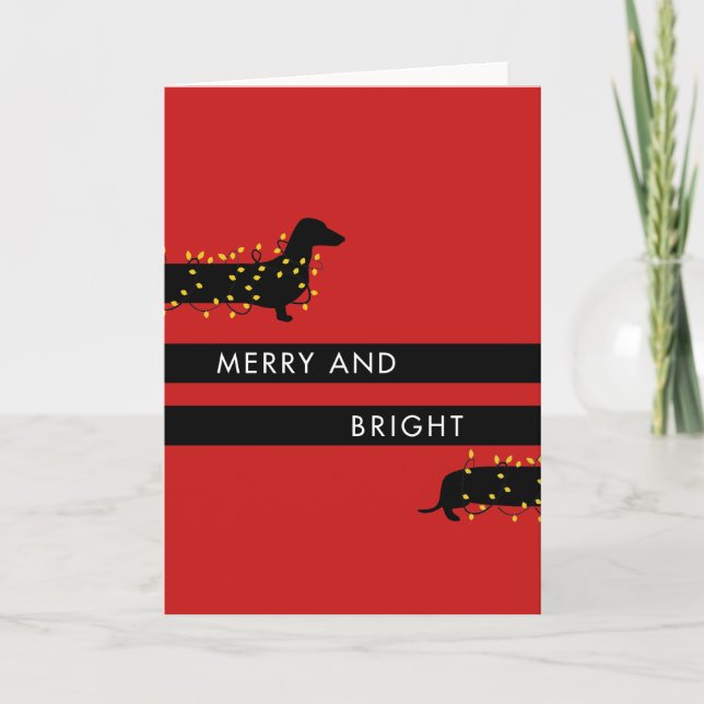 Funny Dachshund with Christmas lights Holiday Card (Front)
