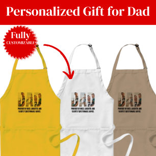 Funny Dad Apron Christmas Gifts for Dad