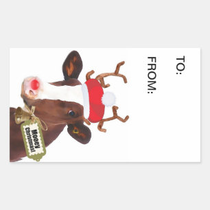 Funny Dairy Cow in Xmas Costume Gift Tag
