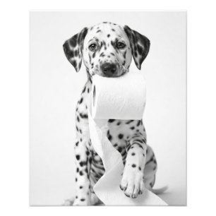 Funny Dalmatian Puppy Holding Toilet Paper Minimal Photo Print