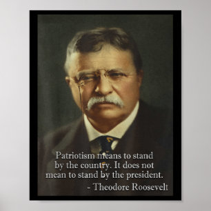 Funny Dank Meme Designs Theodore Teddy Roosevelt M Poster