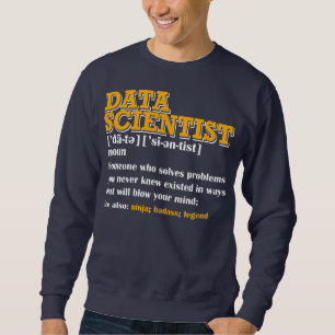 Funny DATA Scientist Definition Data engineer Sweatshirt