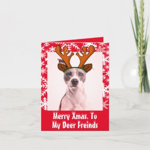 Funny Deer diadem pet photo snowflakes Invitation
