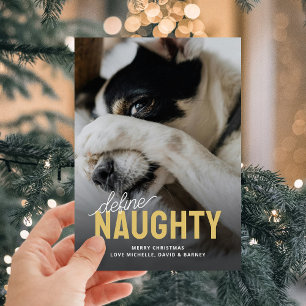 Funny Define Naughty Pet Christmas Holiday Card
