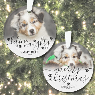 Funny Define Naughty Pet Photo Dog Christmas Ornament