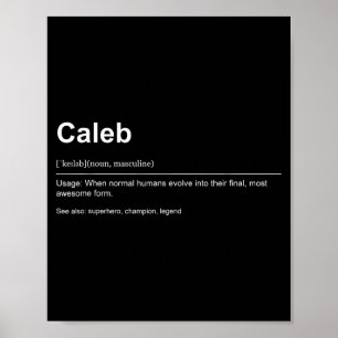 Funny Definition Quote For The Name Caleb _  Poster
