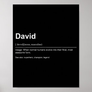 Funny Definition Quote For The Name David _  Poster