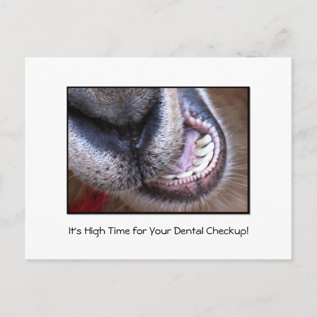 Funny Dental Checkup Appointment Reminder Goat Postcard (Front)