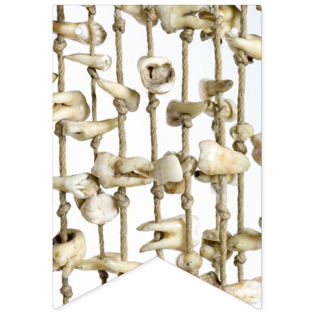 Funny Dental Photography Extracted Teeth Dentist Bunting (First Flag)