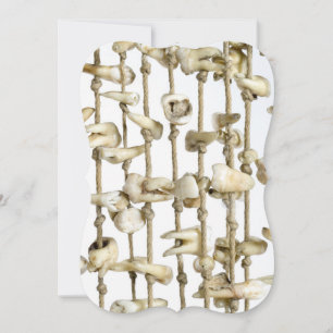 Funny Dental Photography Extracted Teeth Dentistry