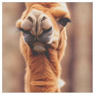 funny desert theme camel all over print  fabric