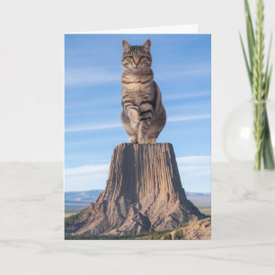 Funny Devil's Tower Tabby Card
