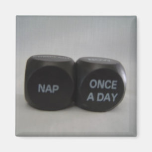 Funny Dice Magnet