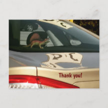 Funny Dinosaur Thank You Postcard