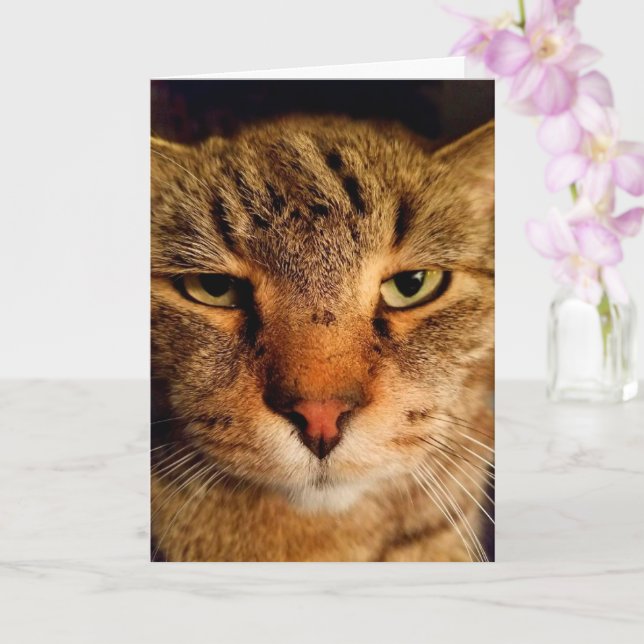 Funny Disgusted Cat Cancer Encouragement Card (Orchid)