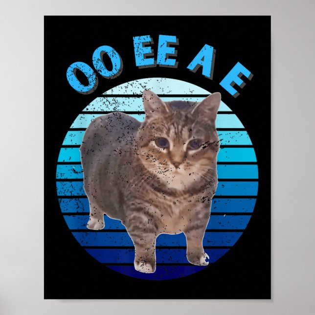 Funny Distressed Oiia Cat Spinning Cat Oi Oi Uiiaa Poster (Front)