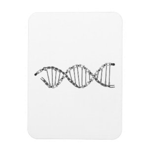 Funny DNA Cycling Bicycle Chain Mountain Bike Love Magnet
