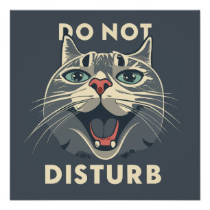 Funny Do Not  Distrub Poster