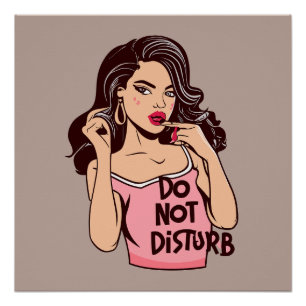 Funny Do Not Disturb Poster