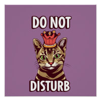 Funny Do Not Disturb