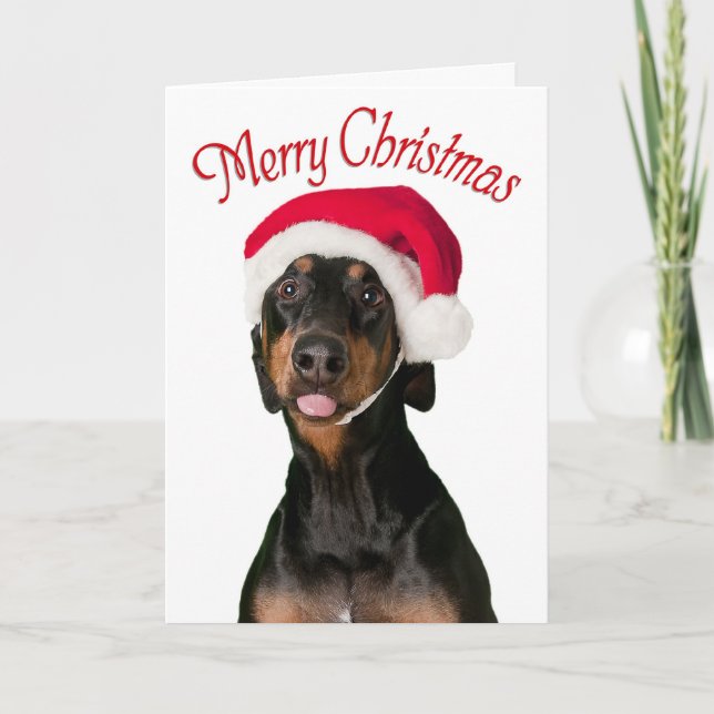 Funny Doberman dog Christmas cards (Front)