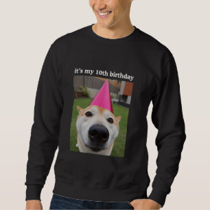 Funny Dog 10th Birthday Party Meme Cute Puppy Cele Sweatshirt