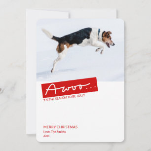 Funny Dog 2 Photo Template Christmas Card