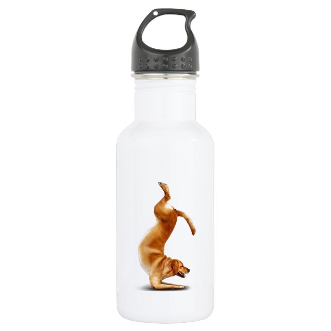 Funny dog 532 ml water bottle (Front)