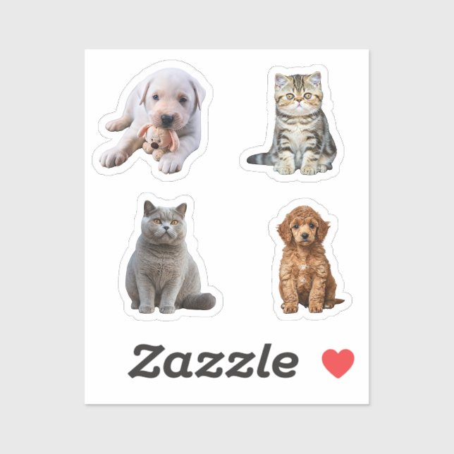 funny dog and cat (Sheet)