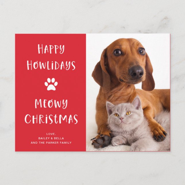 Funny Dog and Cat Christmas with Photo Holiday Postcard (Front)